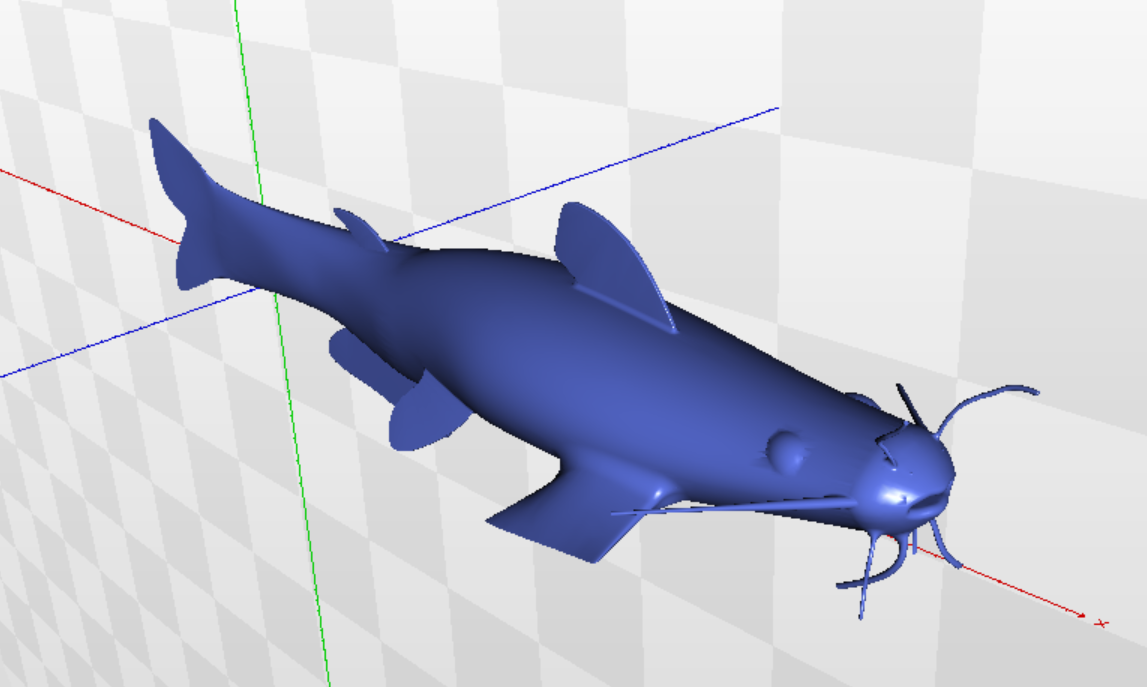 海洋生物鱼类Adams Catfish